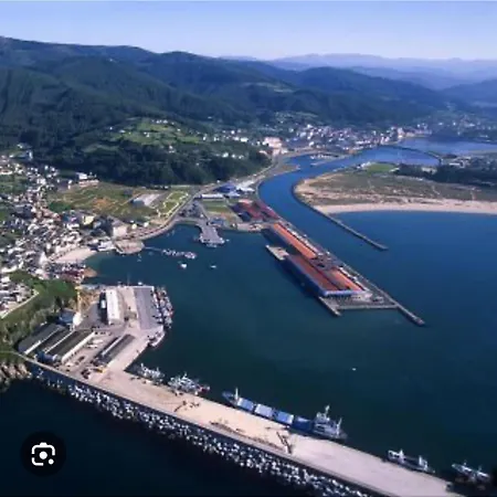 Turquesa A * Viveiro